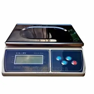 30kg Camry Digital Weighing Scale