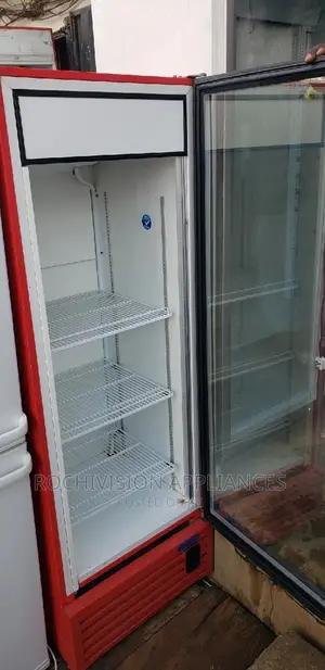 Display Chiller Fridge Refrigerator Beverage Showcase Cooler