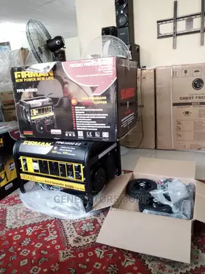 Brand New Firman Fpg3800e2 Generator With 5.5kva Capacity
