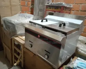 Industrial Deep Fryer Gas