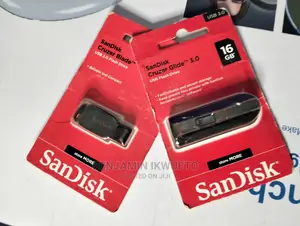Sandisk Flash Drive
