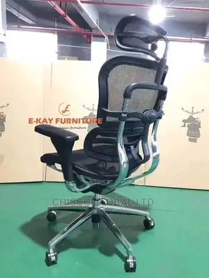 Office Chair (Orthopedic)