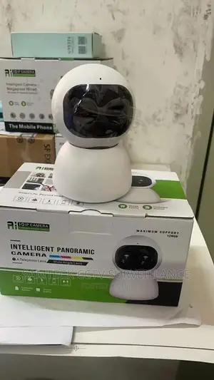 Intelligent Panoramic Wifi Camera