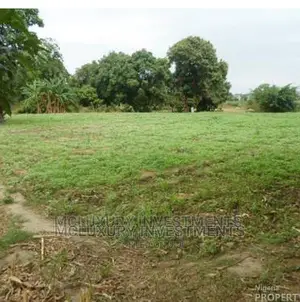 1000 Acres Dry Table Land Behind Yaba Tech Epe /Plot