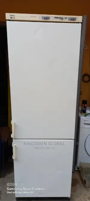 Strong and Reliable Bosch High Quality Fridge Freezer