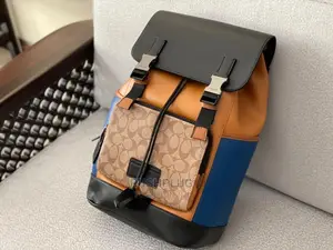 Coach Luxury Leather Backpack
