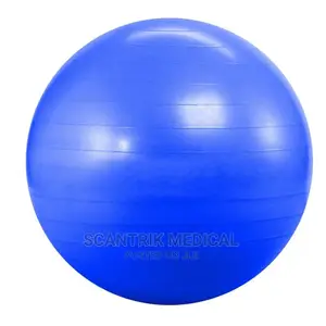 Rhythmic Gymnastics Ball 29.5 in Big for Yoga Balls,