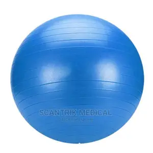 Ball Thickened Stability Balance Ball Pilates Physical