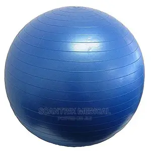 Thickened Stability Balance Ball Pilates Physical