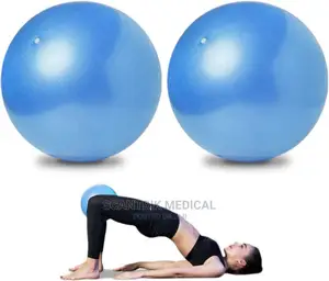 Portable Thickened Stability Balance Ball Pilates Physical