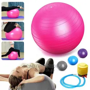 Portable Gymnastic Ball Pilates Physical