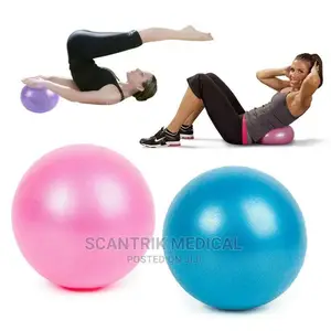 Stability Balance Ball Physical Fitness Exercise Ball