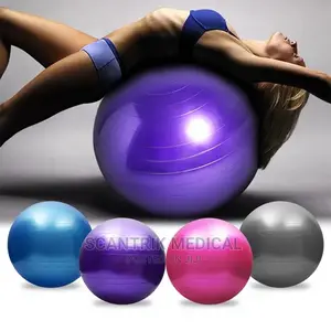 Stability Balance Gym Ball Physical Fitness Exercise Ball
