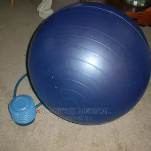 Gym Ball With Pump 75cm
