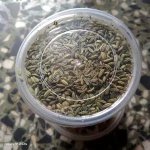 Mistletoe Tea