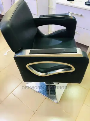 Portable Salon Chair