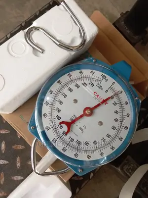 Hinging Scale Camry Original
