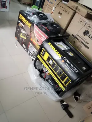 Firman Fpg8800e2 Generator - Automatic 10.5kva (100%Copper)