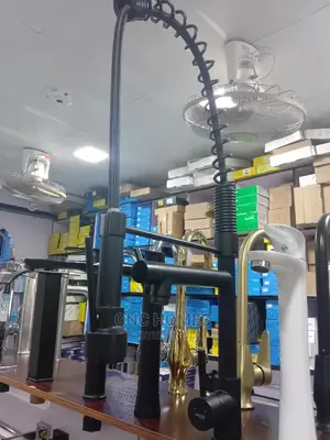 Longest Kitchen Sink Mixer Tap Black Double Head Tap