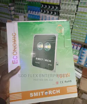 100w Economy Flood Light