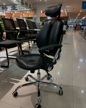 Office Chair (Orthopedic)