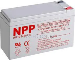 Npp 6ah/12v Deep Cycle Ups Battery