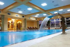 Swimming Pool/ Fountain Construction