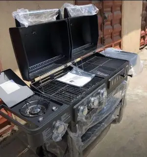 Gas and Charcoal Barbecue Grill