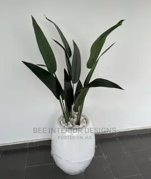 5ft Paradise Bird Plants and Planters