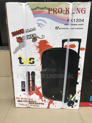 12inches Pro King Public Address System