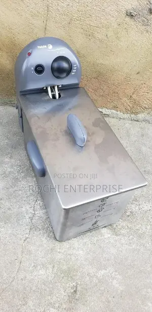 Stainless Steel Deep Fryer