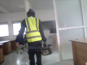 Professioal Fumigation Services Omole Phase 1