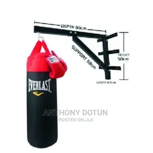 Everlast Punching Bag