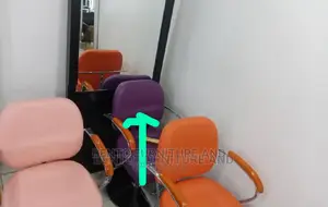 Quality Salon Chair