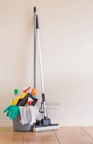 General Cleaning Services