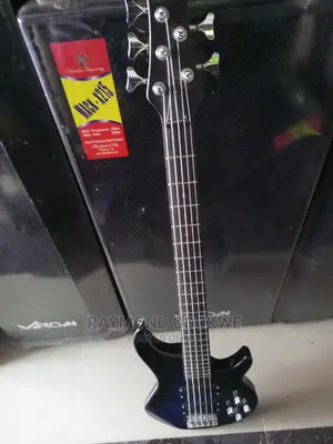 Professional 5 Strings Bass Guitar