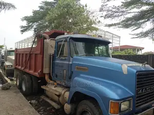 Ch Mack Tipper