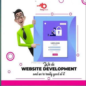 Get a Professional Wordpress Developer 4 Your Business Today