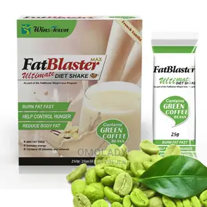 Fat Blaster Ultimate Diet Shake-10 Sachets
