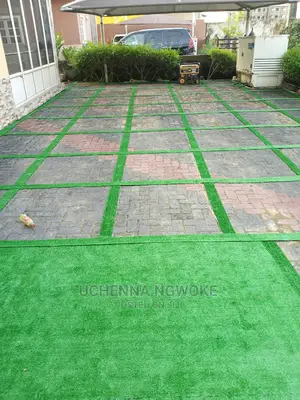 Turkey Astro Turf