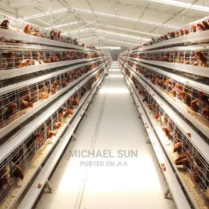 Imported Poultry Cages Chicken Cages