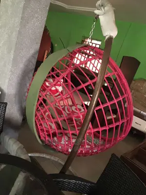 Standard Waving Swing Chairs for Your Comfort