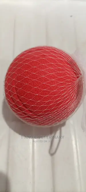 Hard Pet Toy Ball